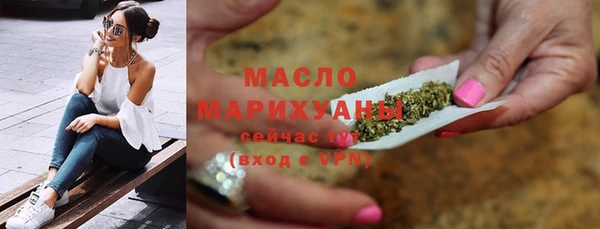 дживик Бородино