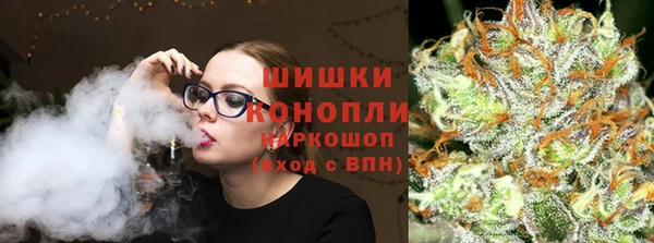 мдпв Володарск