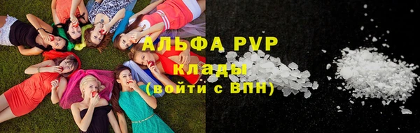 дживик Бородино