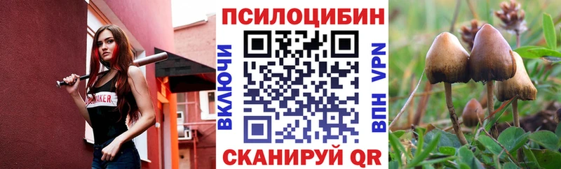 Галлюциногенные грибы прущие грибы  что такое наркотик  Сретенск 