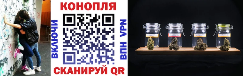 Шишки марихуана план  Сретенск 